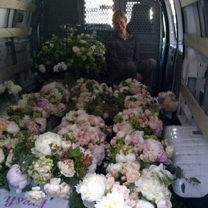 Meet your Posher, Alison